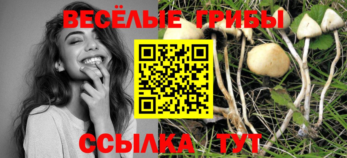 Вязники  Галлюциногенные грибы ЛСД  Вход с VPN 